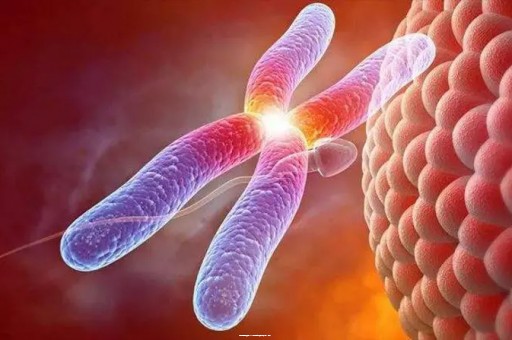 成都试管医院哪家强？2025最新排名前十助孕机构大揭秘!|采访  第1张