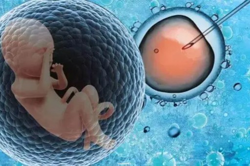 北京试管助孕生子机构排名汇总,专业指导助力圆梦!|访谈  第1张