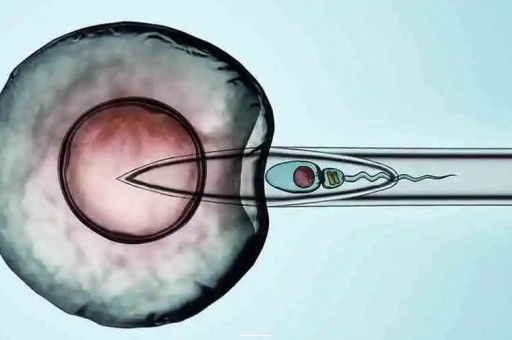 西安三代试管婴儿医院有哪些？2025助孕机构深度测评|访谈