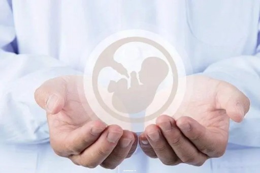 石家庄试管助孕必看,卵巢早衰也能成功怀孕!|据报道
