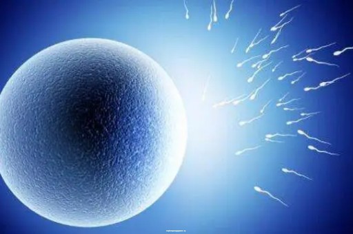 上海妇幼三代试管成功率高吗？助孕费用及流程全解析!|重要