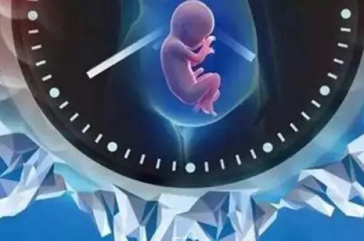 西安试管助孕费用大揭秘,2025年省钱攻略!|焦点